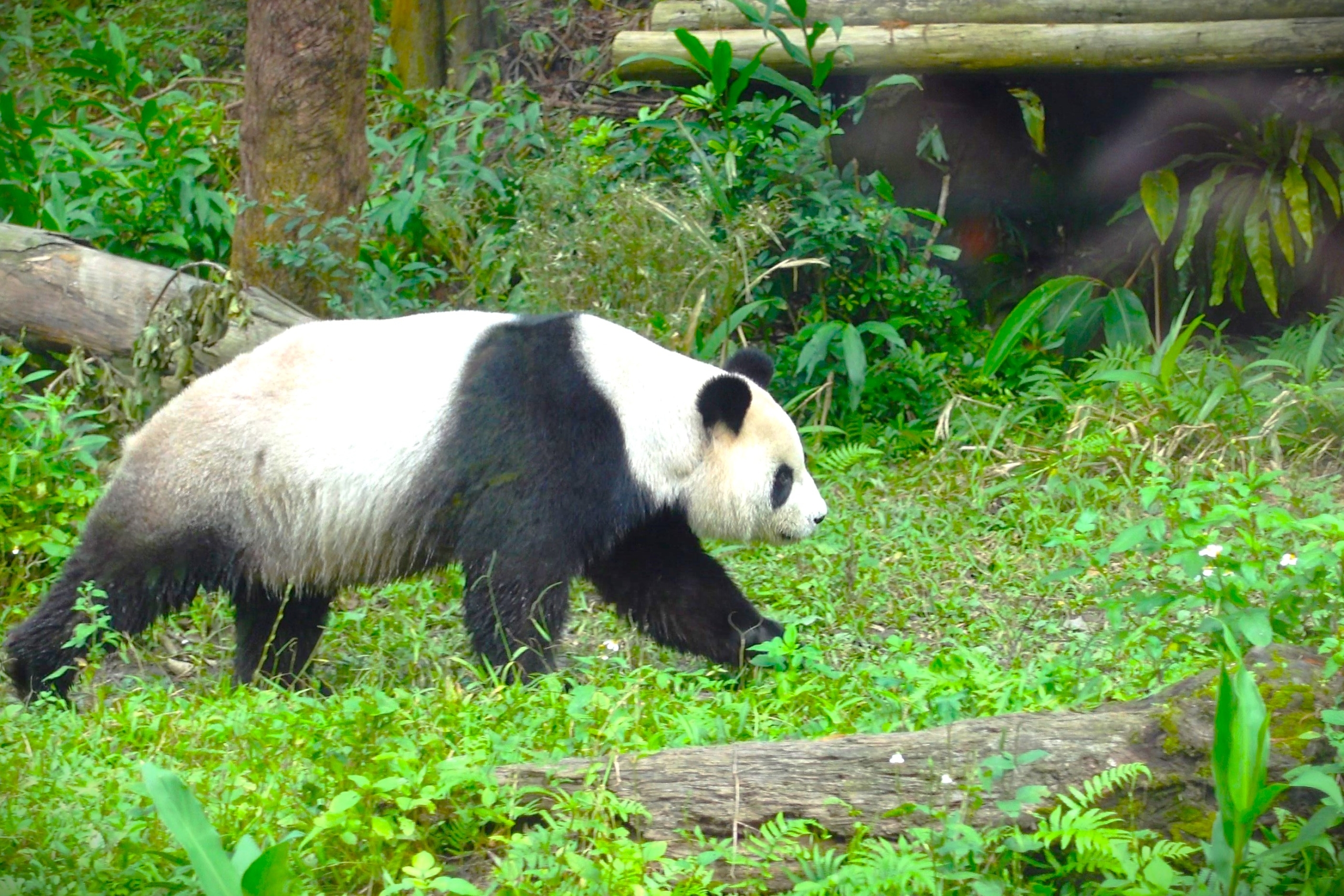 台北市立動物園