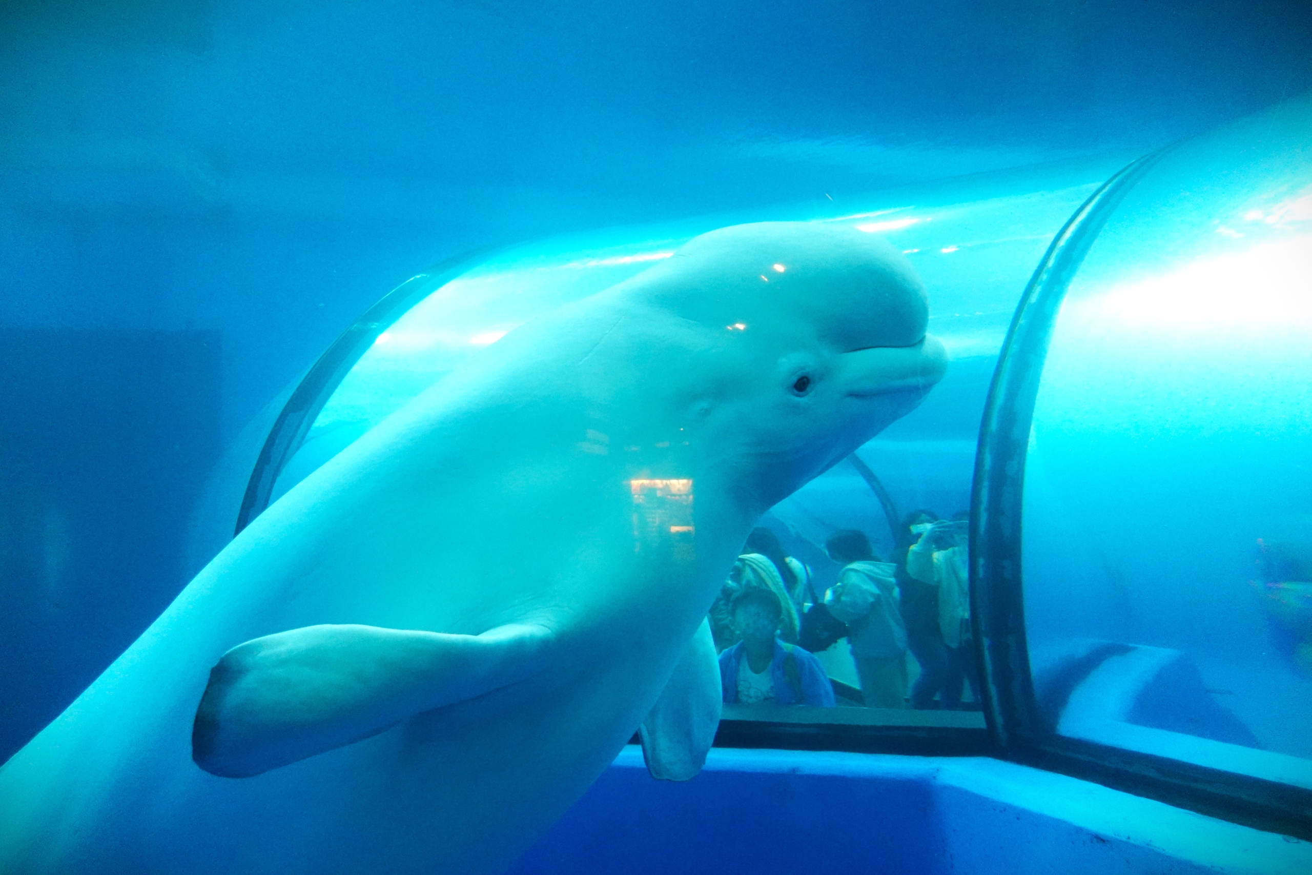 国立海洋生物博物