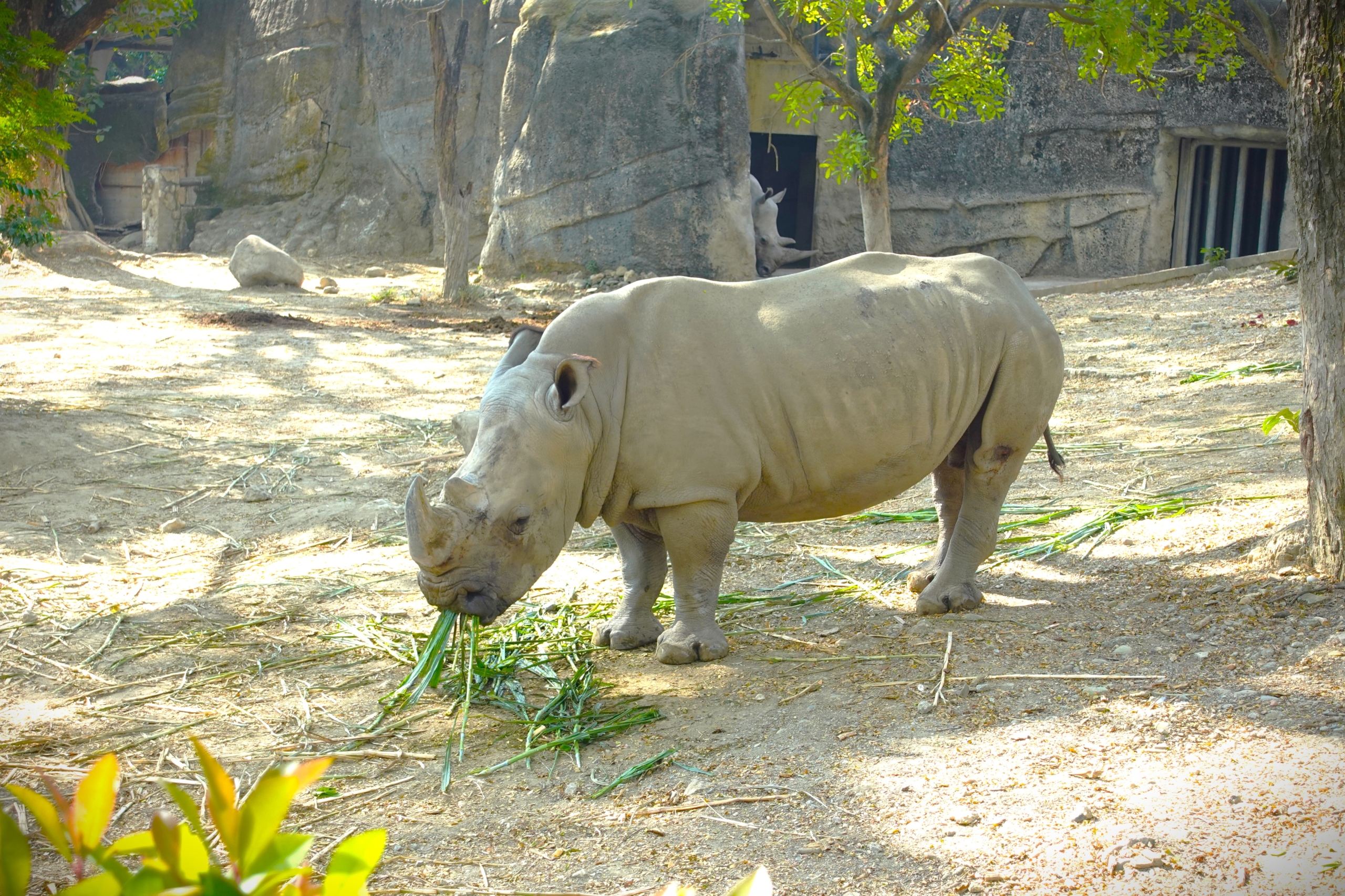 寿山動物園