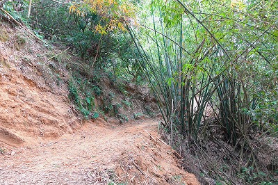 新竹〜頭份間の山道