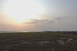 高美湿地