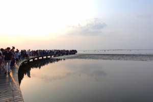 高美湿地
