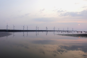 高美湿地